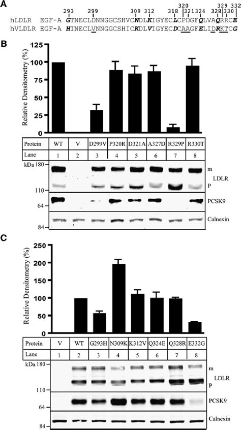 Effect Of Mutations In Egf A Of The Ldlr On Pcsk Binding A Sequence