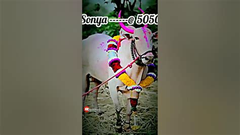 Sonya 5050 Youtube