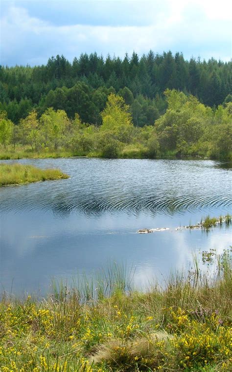 D Couvrir Le Trail Sur Le Plateau De Millevaches Tourisme Creuse Limousin