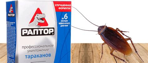 Раптор от тараканов: виды, инструкция.