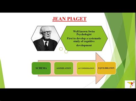 Jean Piaget Theory Of Assimilation And Accommodation Sale Online