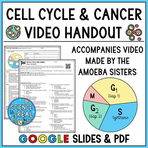 Cell Cycle Amoeba Sisters Video Handout - Science is Real Education