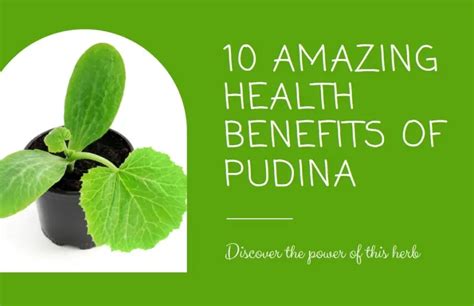 10 Amazing Health Benefits Of Pudina You Should Know Clicko Health