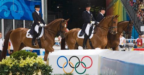 Was Wurde Aus Dem Olympiasieger Bonaparte Mein Pferd Mein Freund