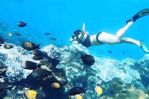 Nusa Penida Island Beach Tour With Snorkeling Departure From Bali Island