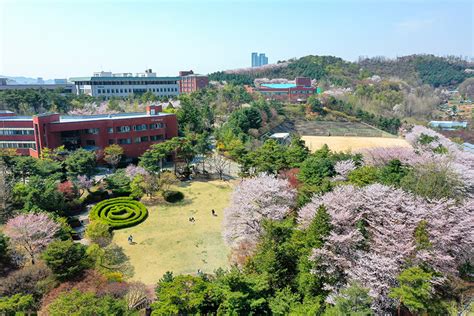 韩国加图立大学2022年的春天