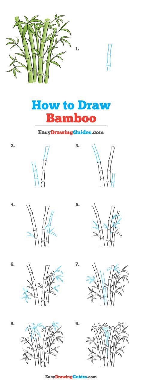 Drawing Hands Bamboo Technique At Terry Worthey Blog