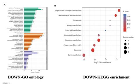 Proteomic Analysis Of Taenia Solium Cysticercus And Adult Stages