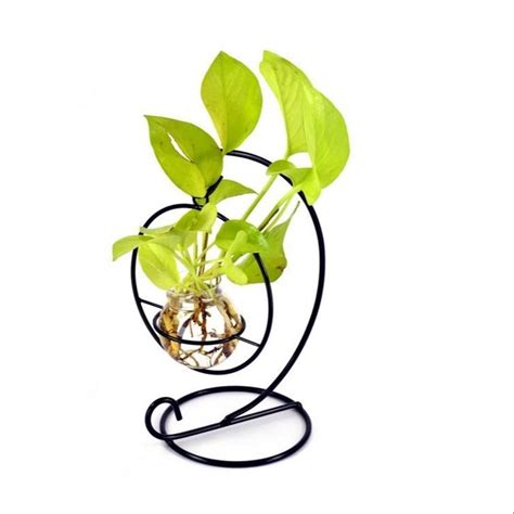 Black Hanging Glass Tube Terrarium Metal Stand Size 15x24cm At Rs 549 Piece In Bengaluru