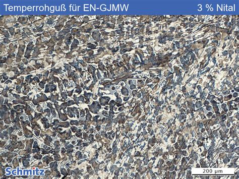 Temperrohguß für EN GJMW Schmitz Metallographie GmbH