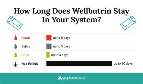 Wellbutrin Half-Life: How Does Bupropion Work in the Human Body?