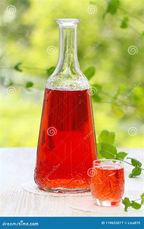 Alcohol Berry Drink Stock Image Image Of Cranberry 119653077