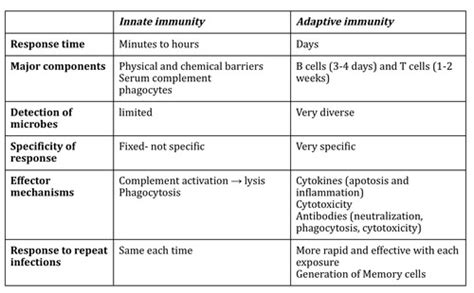 Immunology MIDTERM Flashcards Quizlet