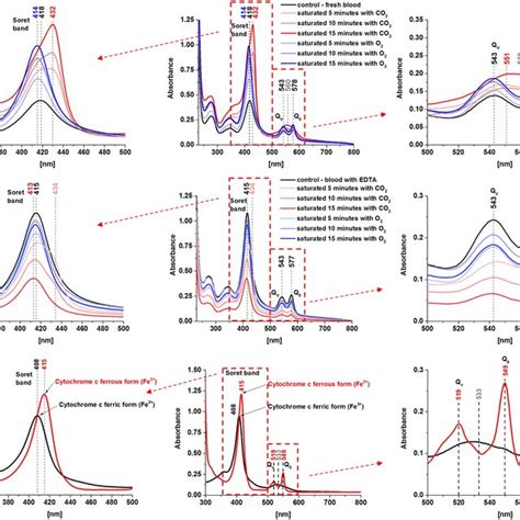 Uv Vis Electronic Absorption Spectra Of Fresh Whole Human Blood A And