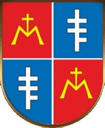 Проект герба д. Елизаровичи.Проект реализован в виде сувенирных значков ...