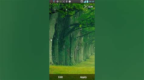 Rain Forest Live Wallpaper Youtube