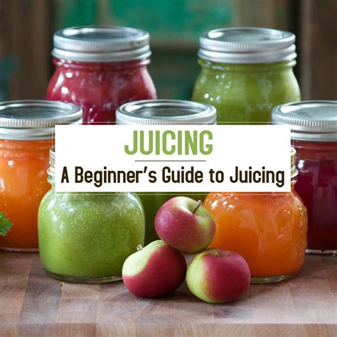 Juicing 101 A Beginners Guide To Juicing