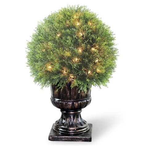 27 Upright Juniper Ball Topiary Tree In A Decorative Urn With 70 Clear