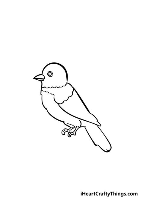 Bird Drawing How To Draw A Bird Step By Step