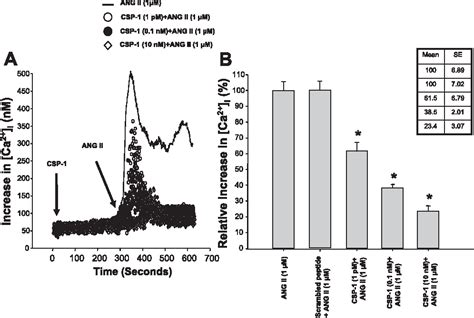 Figure From Effect Of Caveolin Scaffolding Peptide And Beta