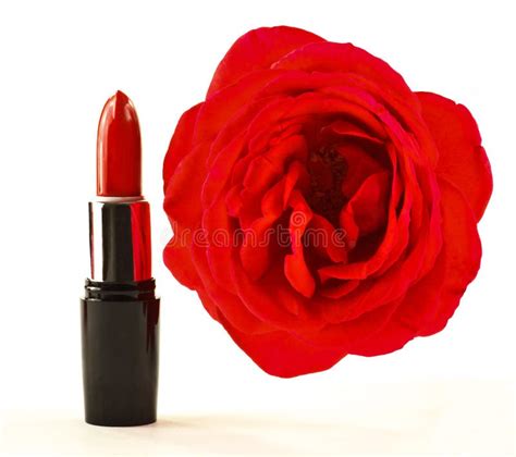 Red lipstick and rose stock image. Image of petals, cosmetic - 43460993