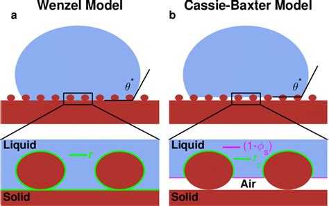 2 The Two Possible Wetting States For A Liquid Droplet In Contact With