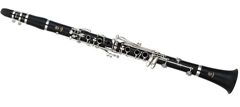 Musical Instrument