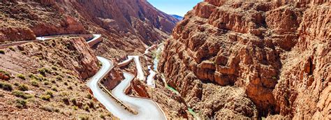 Hoge Atlas Jbel Toubkal M Goun Snowleopard