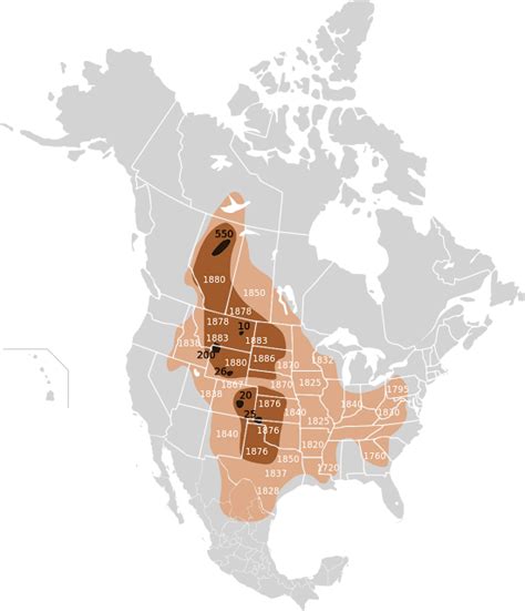 Wildlife Geography: American bison