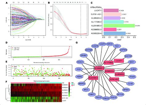 Construction Of The Dearlncrnas Prognostic Signature For Hcc