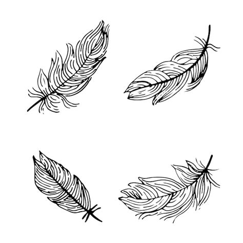 Plumas Dibujadas A Mano Ilustraci N De Garabato Vectorial Aislado Sobre