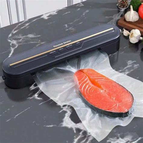 Scelleur Sous Vide Portable Protecteur D Aliments Sous Vide Scelleur