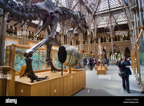 Oxford University Museum Of Natural History Oxford Oxfordshire