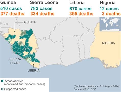 Ebola Crisis Vastly Underestimated Says Who Bbc News