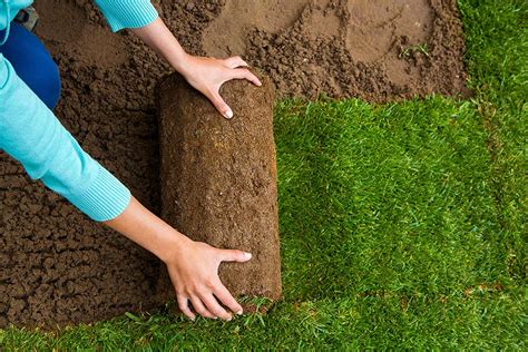 How To Lay Down Sod On Dirt How To Prepare Your Soil And Lay Sod