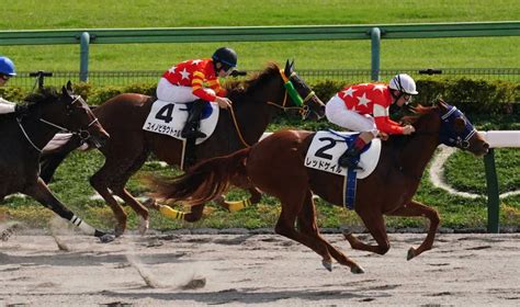 ＜東京6r新馬戦＞レースを制したレッドゲイル（右）＝撮影・郡司 修 ― スポニチ Sponichi Annex ギャンブル