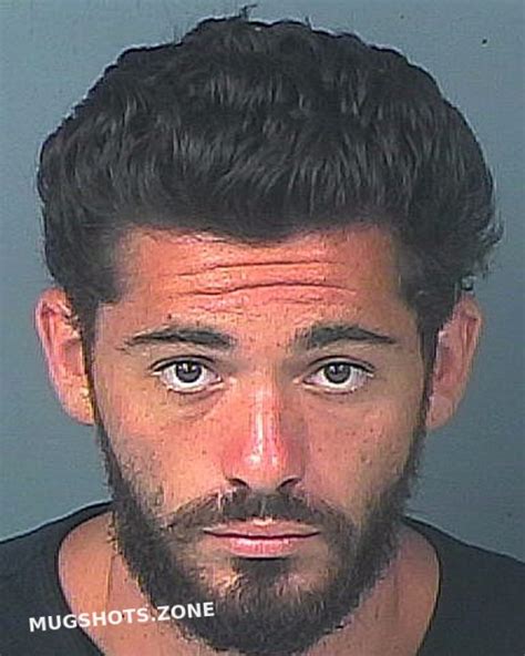 Aiovalasit Giovanni Sal 07082023 Hernando County Mugshots Zone