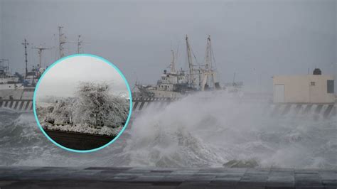 Alerta Gris por frente frío en Veracruz Así impactará este fin de