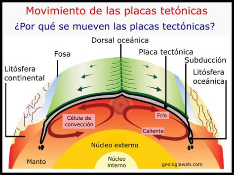 Qu Son Las Dorsales Oce Nicas Y C Mo Se Forman