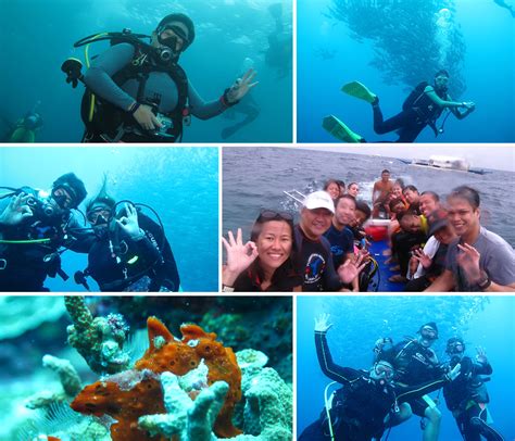 Dive Bohol Feb 2016 With Sierra Madre Divers Divers Ph