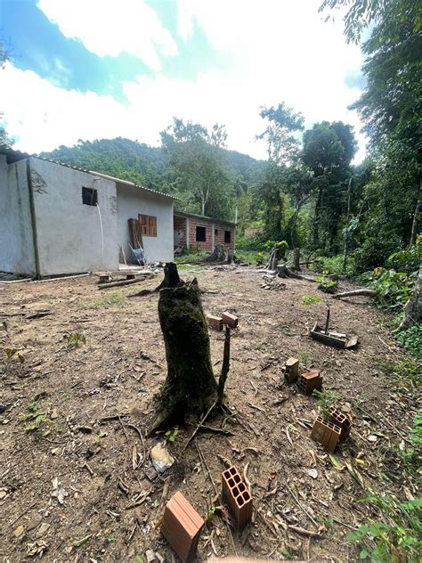 PM Ambiental flagra corte de árvores e obra irregular em Paraty