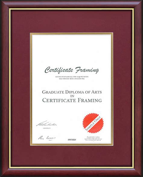 Certificate Frames made for A3 Size Professional Credentials.