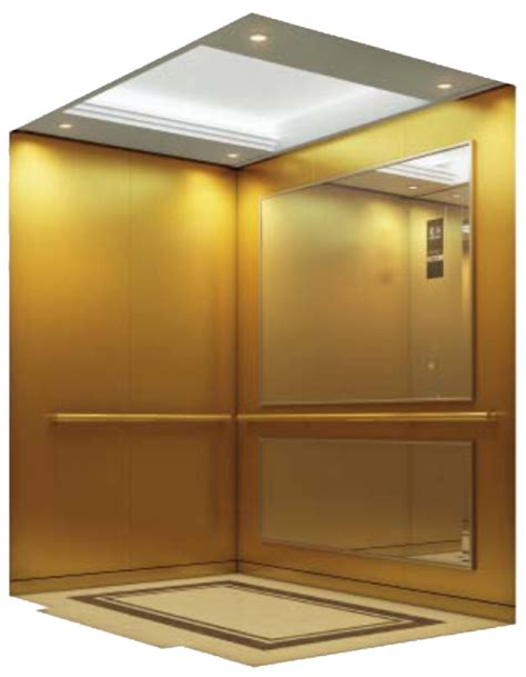 Rancon Elevators Metal Finish Stainless Steel Glass Elevator Cabin For