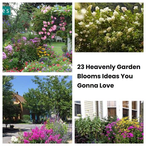 Heavenly Garden Blooms Ideas You Gonna Love Sharonsable