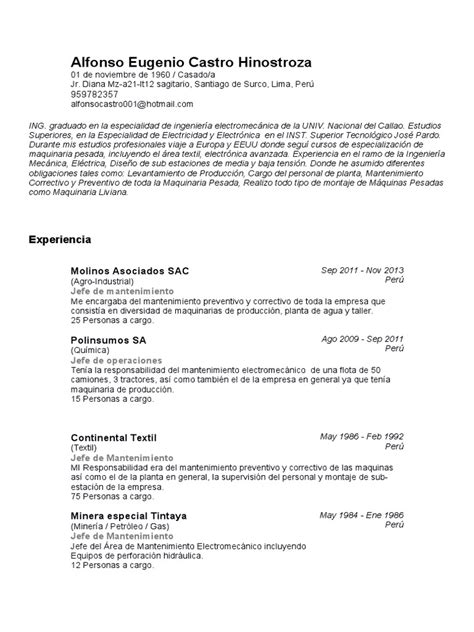 Curriculum Vitae Pdf Perú Ingenieria Eléctrica