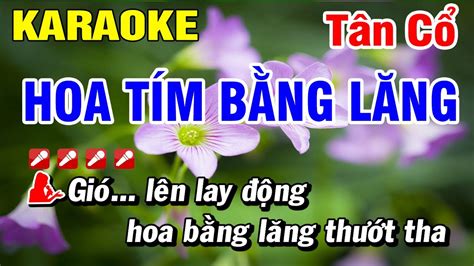 Hoa T M B Ng L Ng Karaoke T N C Song Ca Thanh Tu N Thanh Kim Hu