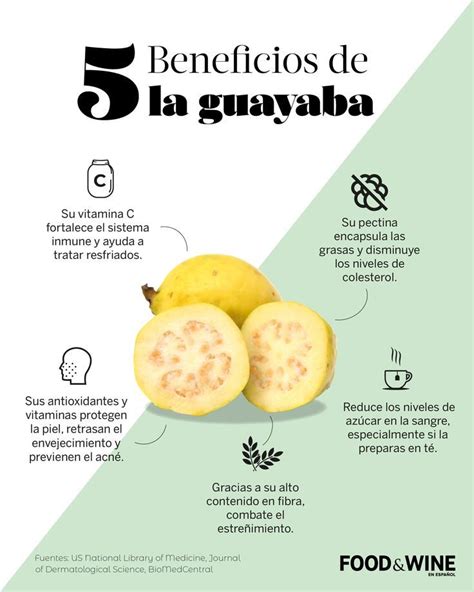 Beneficios De La Guayaba Guayaba Beneficios Hojas De Guayaba Frutas