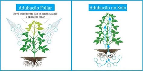 Por Que Aduba O Foliar Em Soja Pode Ser Uma Cilada Blog Da Aegro