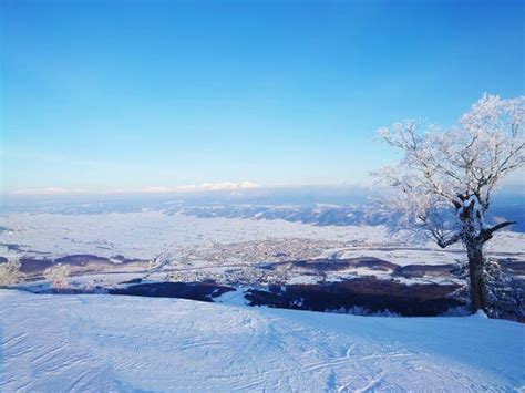 北海道富良野の魅力を再発見！冬限定「農・スノー」ツアーで極寒のごちそうを満喫 Glam（グラム）