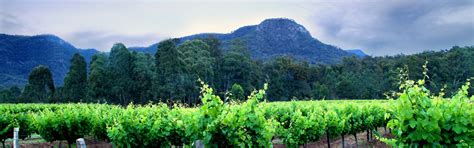 hunter valley destinations hunter valley